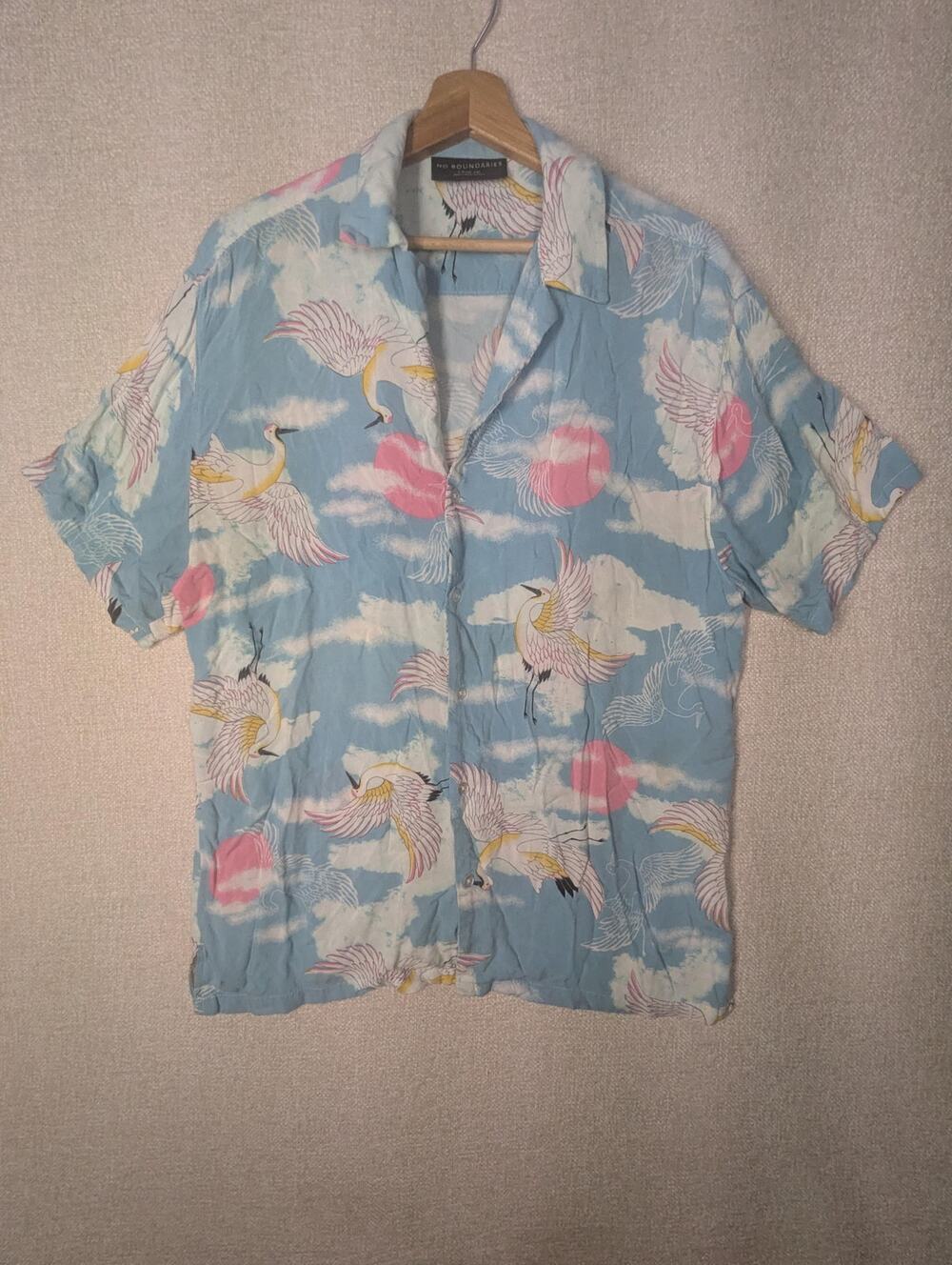 Y2K Japanese Crane Button Up Shirt Blue Sky Cloud Print Vacation Camp Collar Top